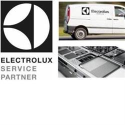Professional Service Srl