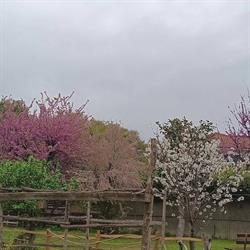 Giardino dell'Orchidea