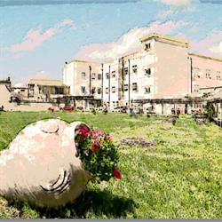 Centro di Riabilitazione Santa Maria Bambina (RIMEDIO DONIGALA FENUGHEDDU)