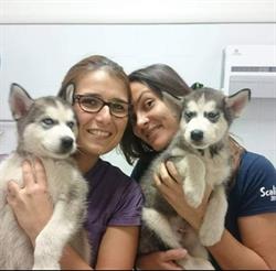 Ambulatorio Veterinario Circe Vet