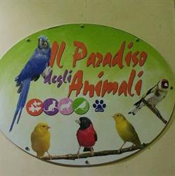 Il Paradiso Degli Animali