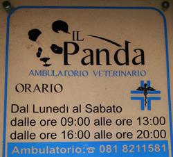Ambulatorio Il Panda Saviano