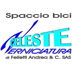 Spaccio bici Verniciatura Celeste