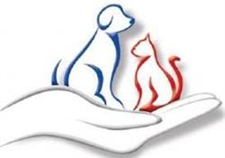 Ambulatorio Veterinario Le Tre Torri di Bitritto