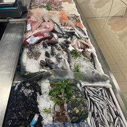 Pescheria la Conchiglia