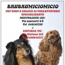 Baubaumiciomicio