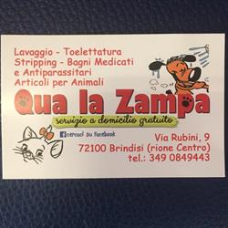 Qua La Zampa