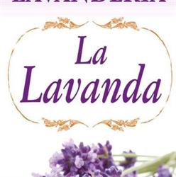 Lavanderia La Lavanda Di Ferraro Giuseppina Valentina