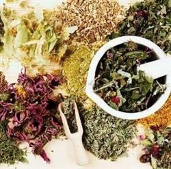 Erboristeria Le Quattro Stagioni
