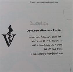 Ilium Vet