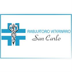 Ambulatorio Veterinario San Carlo