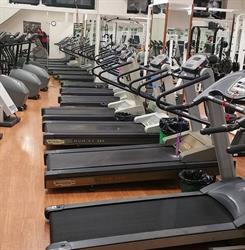 Palestra Body Center Club