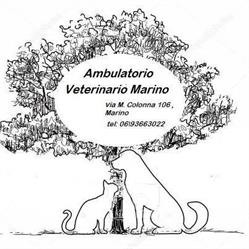 Ambulatorio Veterinario Marino