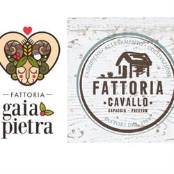 Fattoria Cavallo In Goat We Trust