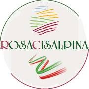Rosacisalpina