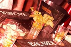 Pub I Cherubini