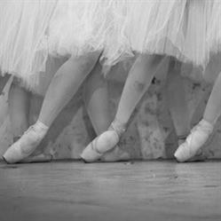 Amusia Danza