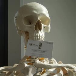 O-Keiros Centro Osteopatico