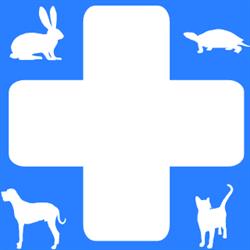 Ambulatorio veterinario Usmate