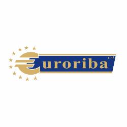 Euroriba Srl - Balestre per Camion Napoli- Riparazione Ammortizzatori Camion