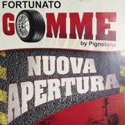 Fortunato Gomme
