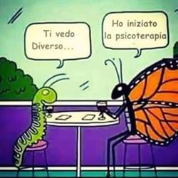 Dott.ssa Laura Privitera Psicologa Psicoterapeuta