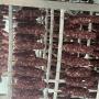 Salsiccia