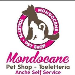 Mondocane
