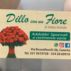 Dillo Con Un Fiore Di Natale Stella