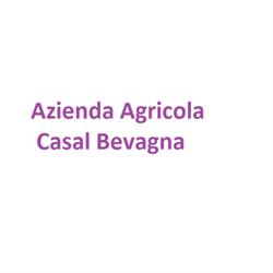Azienda Agricola Casal Bevagna