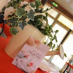 Hotel Lina