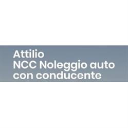 Ncc Noleggio Auto con Conducente Pavia