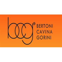 BCG - Dottori Commercialisti