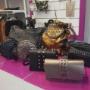 Gallery Cliente