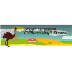 L' Albero degli Struzzi