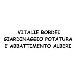 Giardinaggio Vitalie Bordei