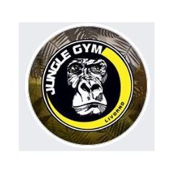 Palestra Jungle Gym