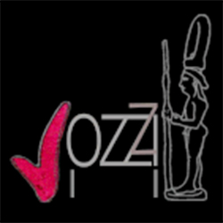 Vozzi Vini