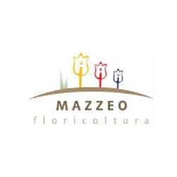 Vivaio e Piante Mazzeo