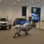 Salone Peugeot Casoria