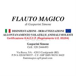 Flauto Magico