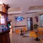 Gallery Professionale