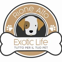 Exotic Life Rione Alto