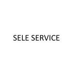 Traslochi  Sele Service