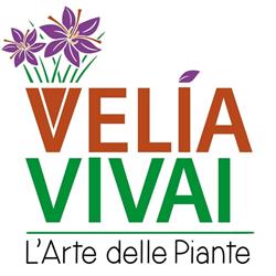 Velia Vivai