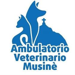 Ambulatorio Veterinario Musinè