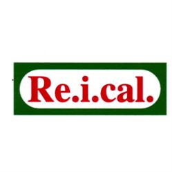 Re.I.Cal. di Renzi Andrea & Massimo Snc