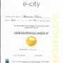 Gallery Professionale