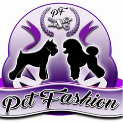 Pet Fashion - Toelettatura Professionale