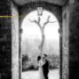 Chianti Wedding Photos